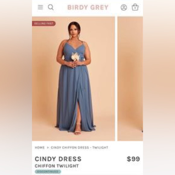 Birdy Grey Bridesmaid Dress - Picture 1 of 5